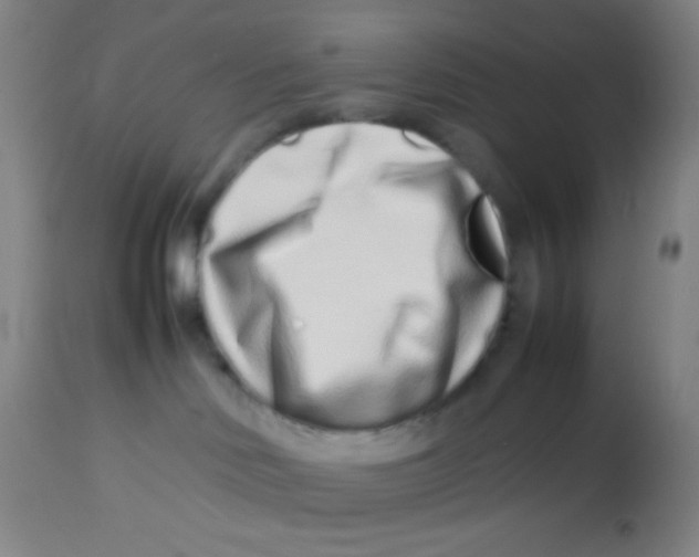 X0000113760046200910211219