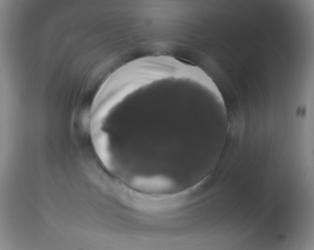 X0000113760047200910211219