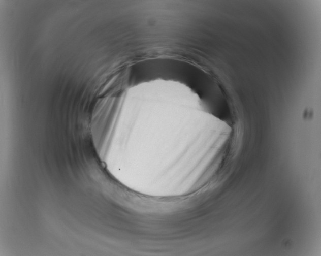 X0000113760048200910211219