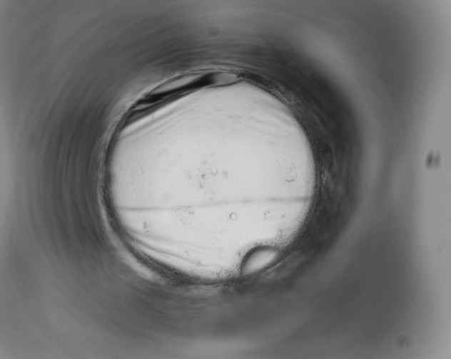 X0000113760049200910211219