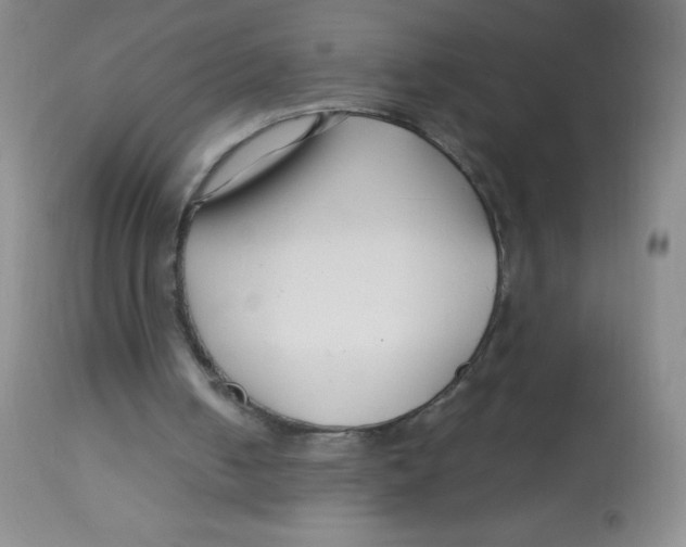X0000113760050200910211219