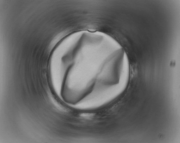 X0000113760051200910211219