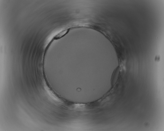 X0000113760052200910211219