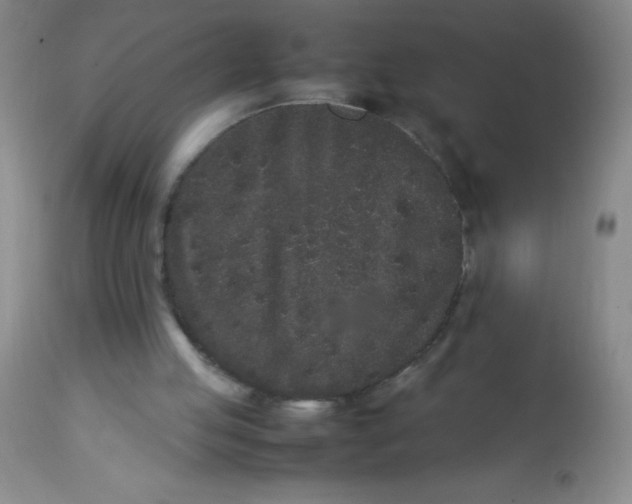 X0000113760053200910211219