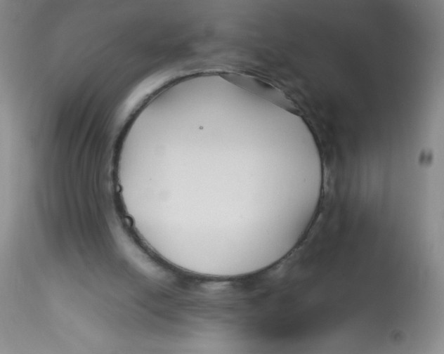 X0000113760054200910211219