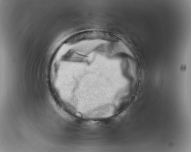 X0000113760055200910211219