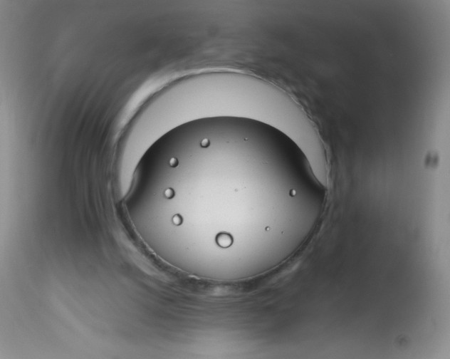 X0000113760056200910211219