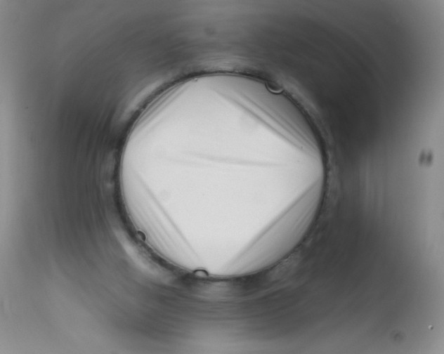 X0000113760058200910211219
