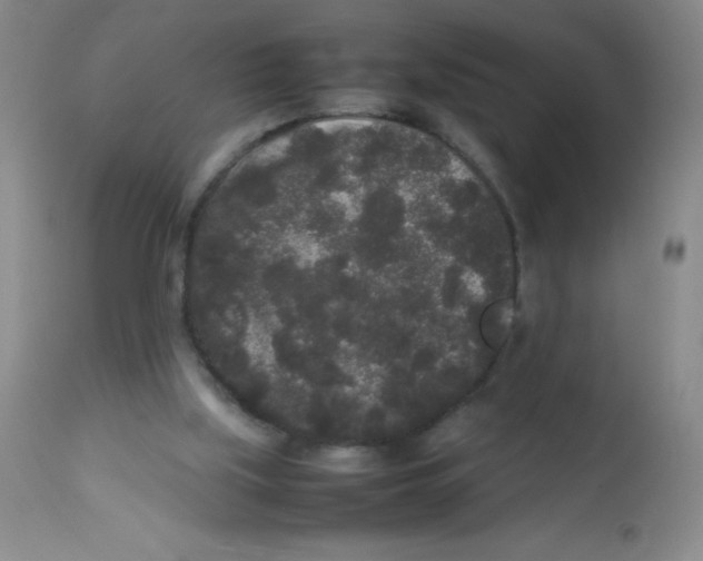 X0000113760059200910211219