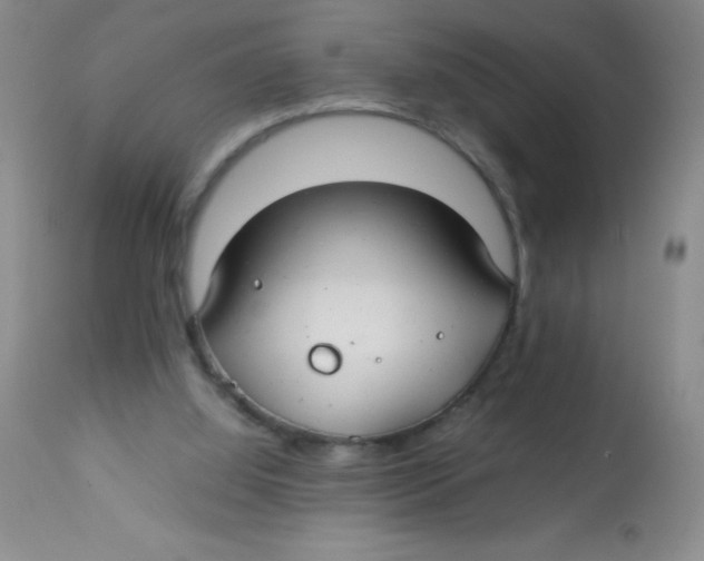 X0000113760060200910211219