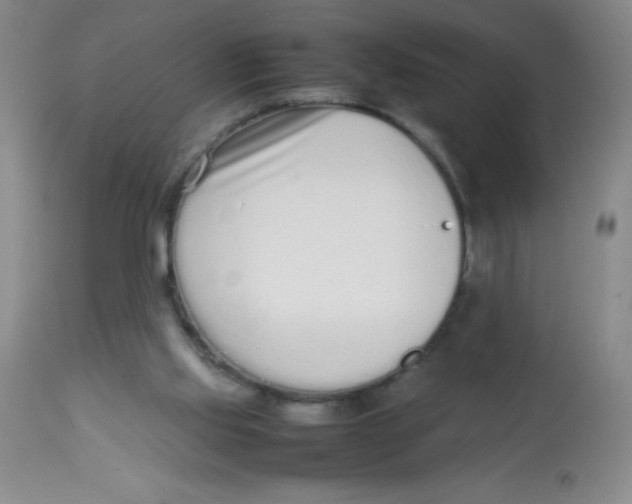 X0000113760061200910211219