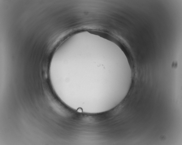 X0000113760062200910211219