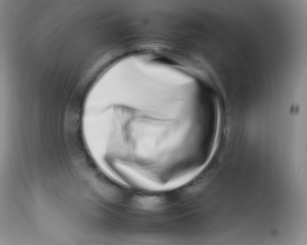 X0000113760063200910211219