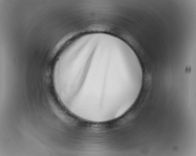 X0000113760064200910211219