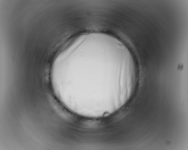 X0000113760065200910211219