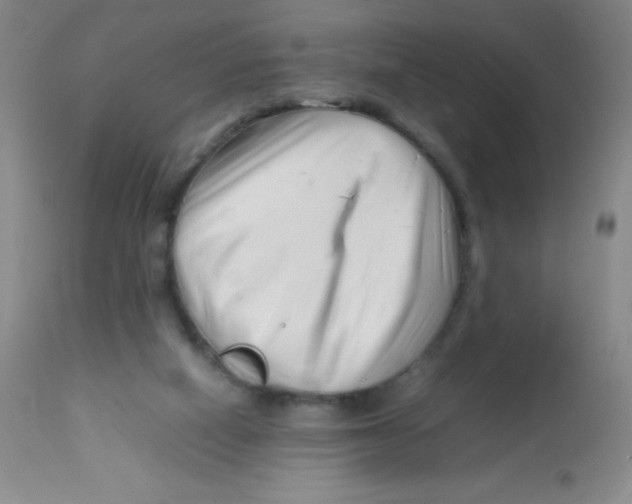 X0000113760066200910211219