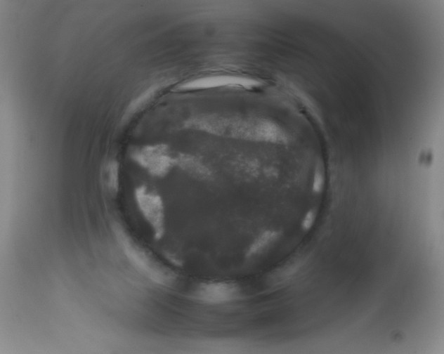 X0000113760067200910211219