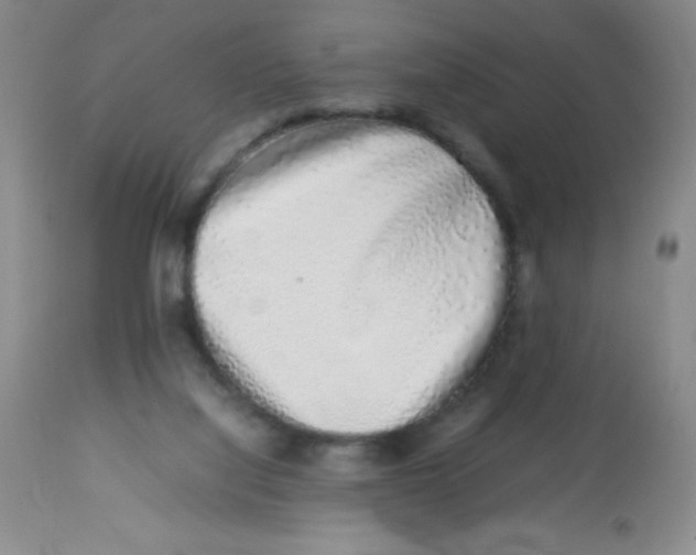 X0000113760068200910211219