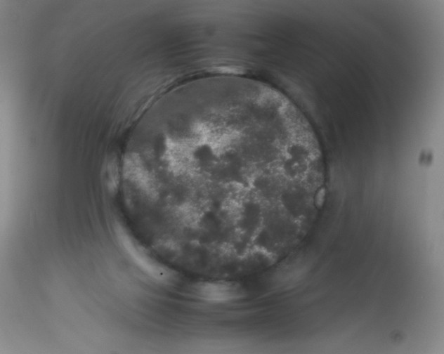 X0000113760069200910211219