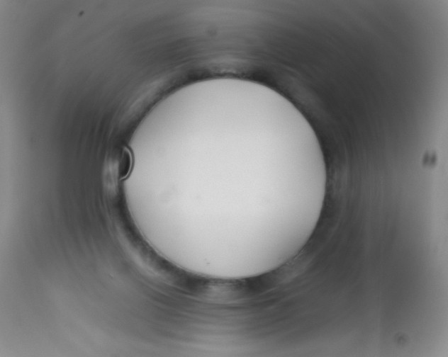 X0000113760070200910211219