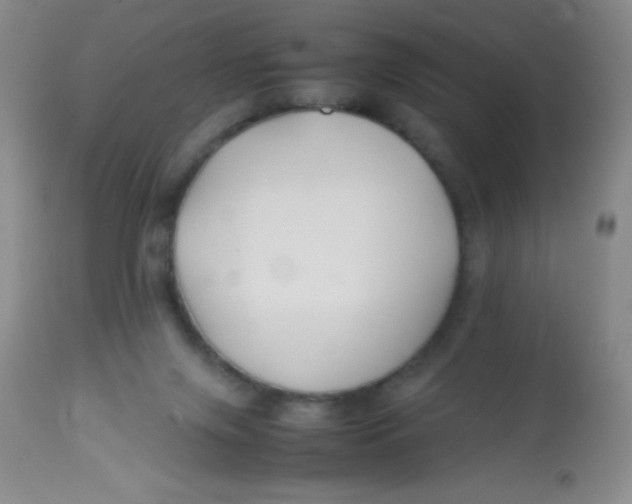 X0000113760071200910211219
