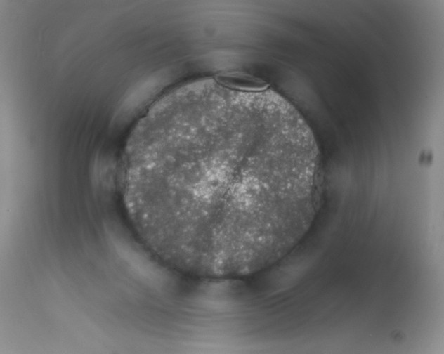 X0000113760072200910211219