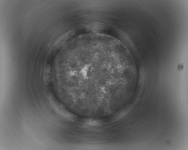 X0000113760073200910211219