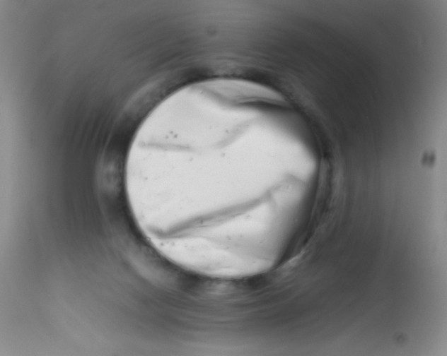 X0000113760074200910211219