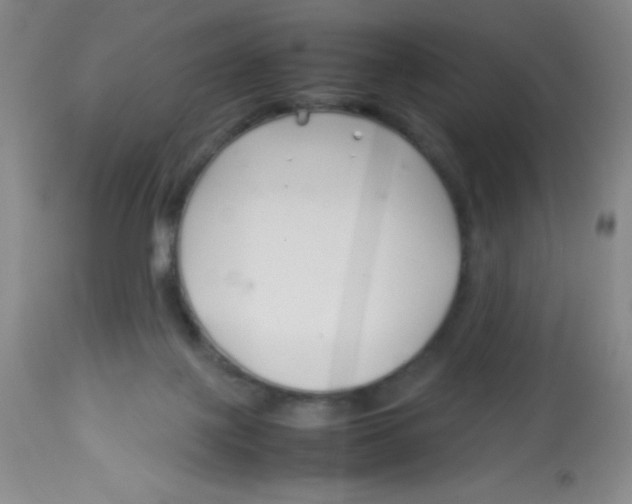 X0000113760075200910211219
