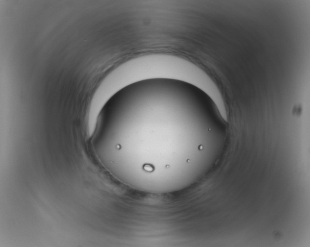 X0000113760076200910211219