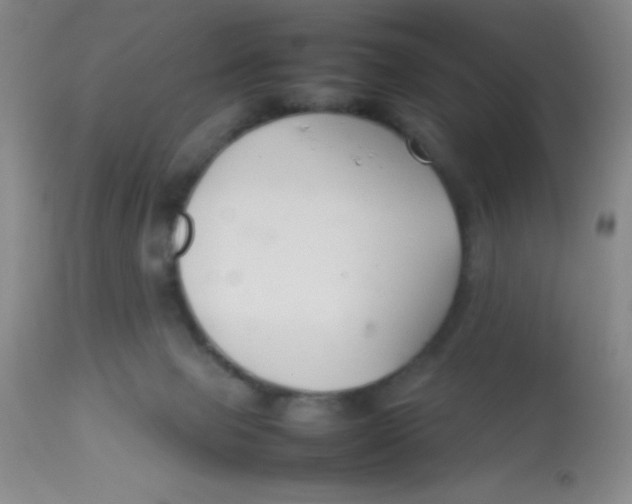 X0000113760077200910211219