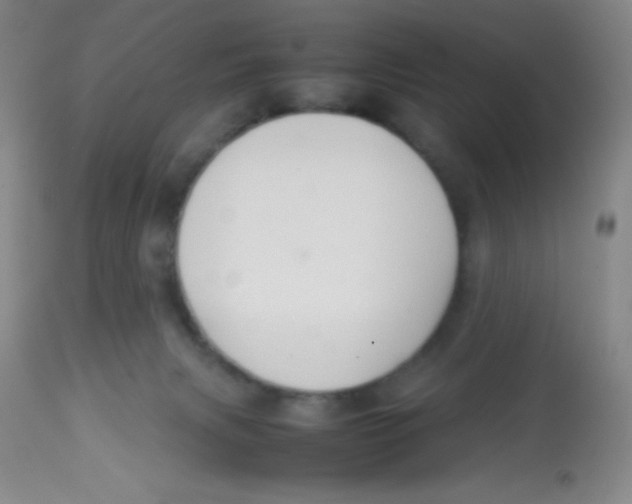 X0000113760079200910211219