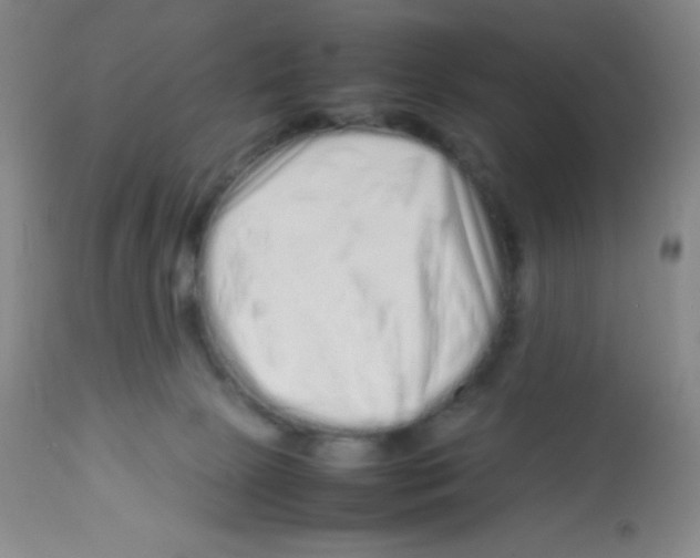X0000113760081200910211219