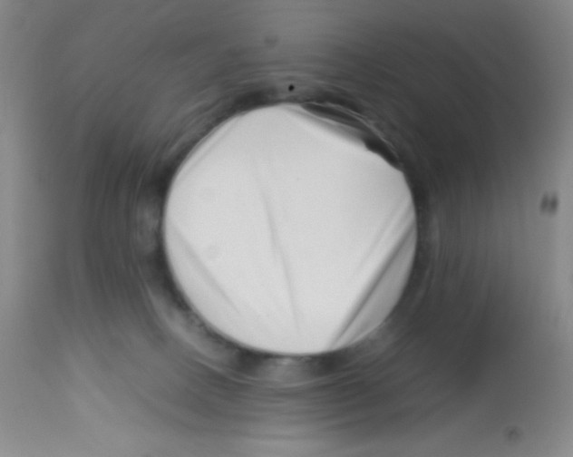X0000113760082200910211219