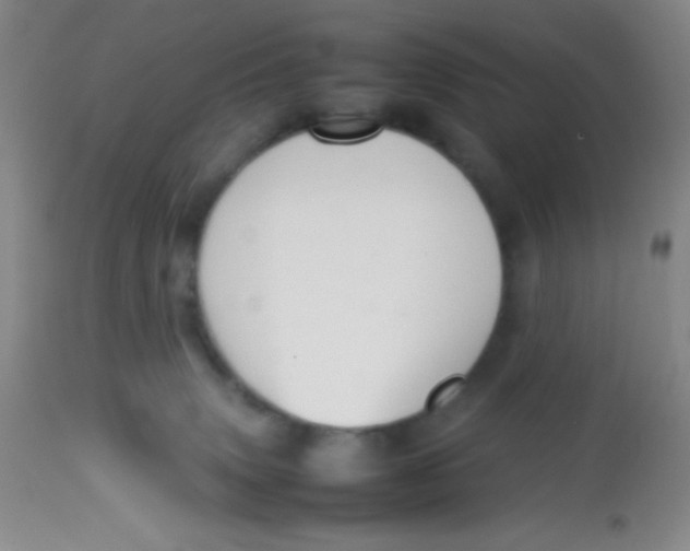 X0000113760083200910211219