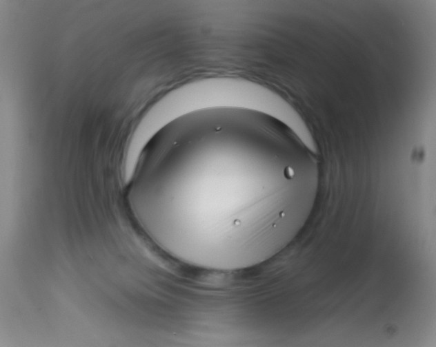 X0000113760084200910211219