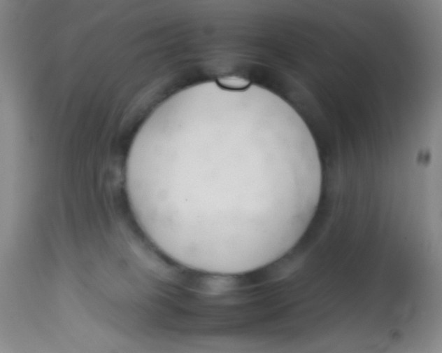 X0000113760085200910211219