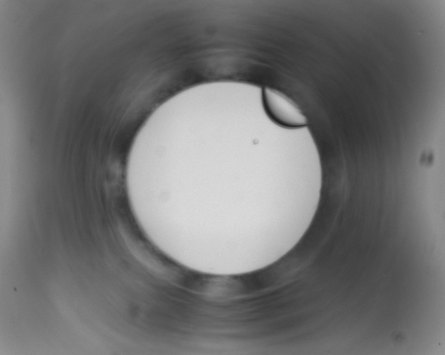 X0000113760087200910211219