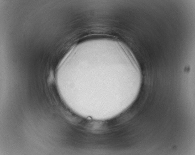 X0000113760089200910211219