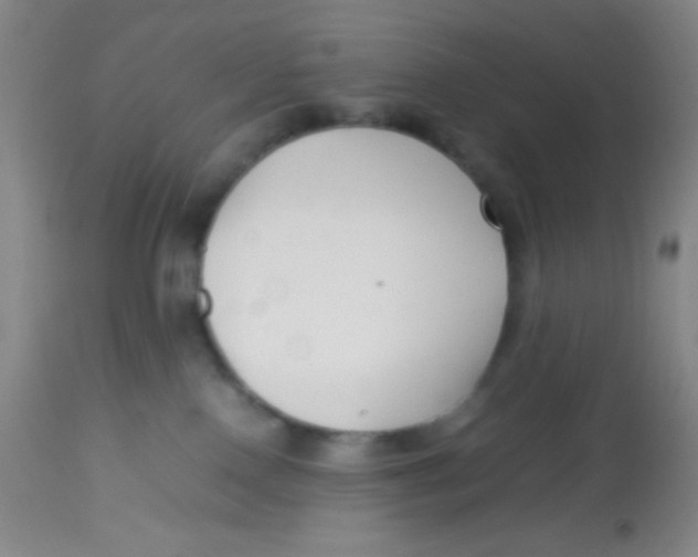 X0000113760090200910211219