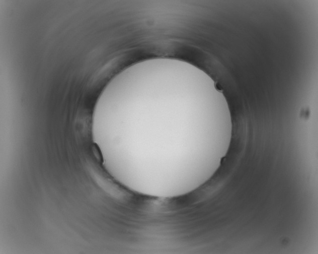 X0000113760092200910211219
