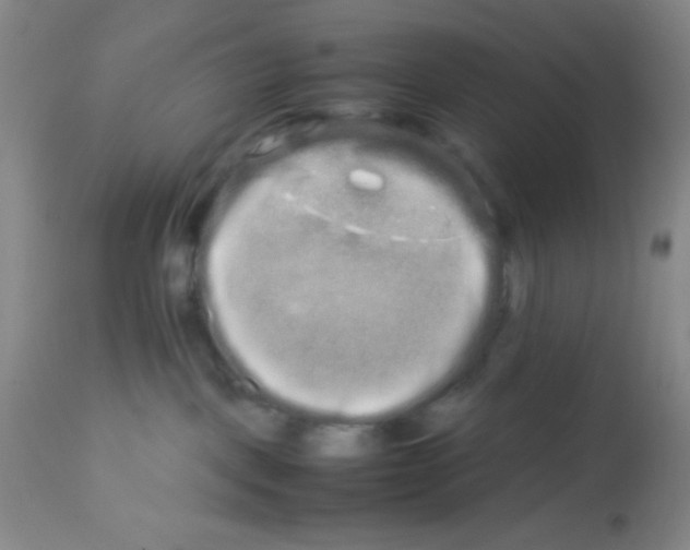 X0000113760093200910211219
