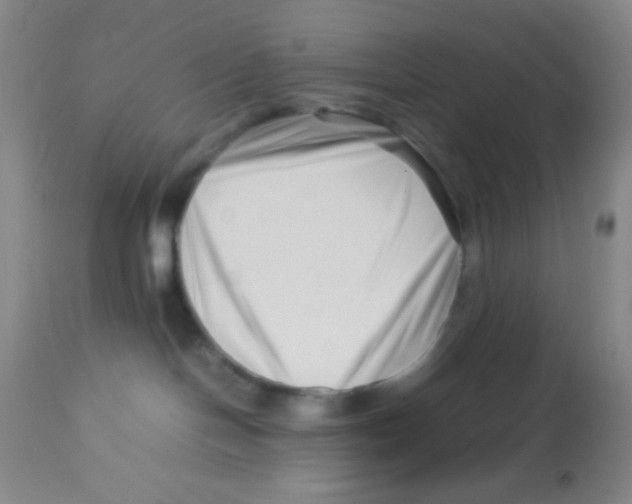 X0000113760094200910211219
