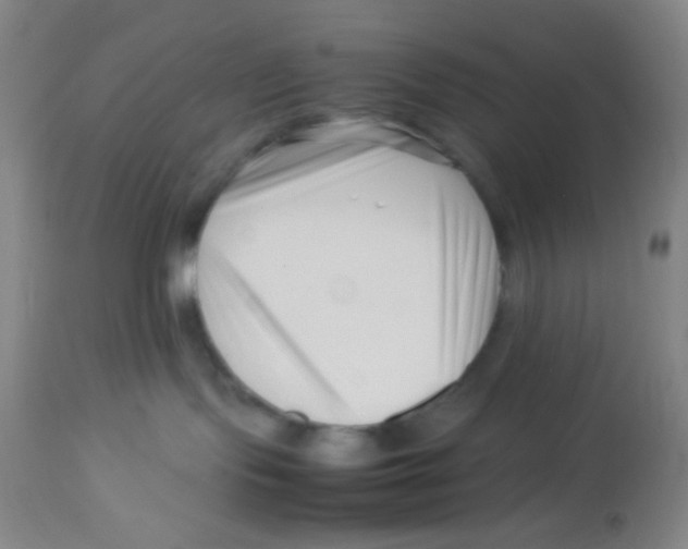 X0000113760095200910211219