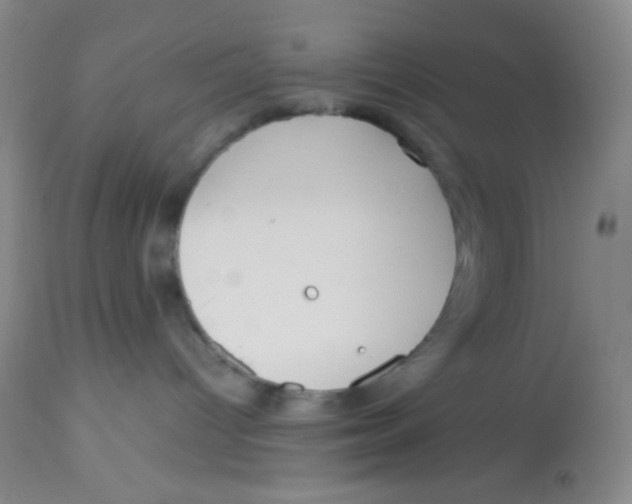X0000113760096200910211219