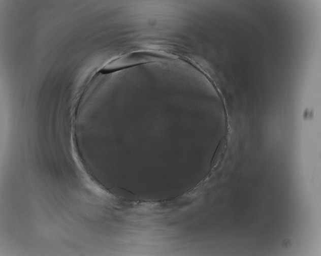 X0000113760097200910211219
