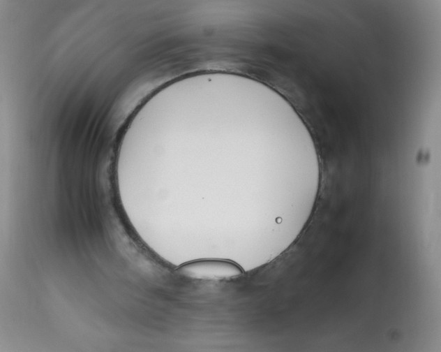 X0000113760098200910211219