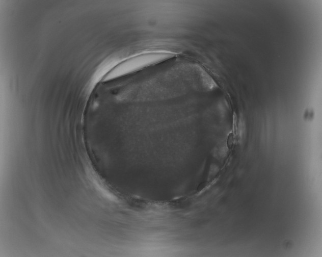 X0000113760099200910211219