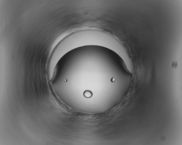 X0000113760100200910211219