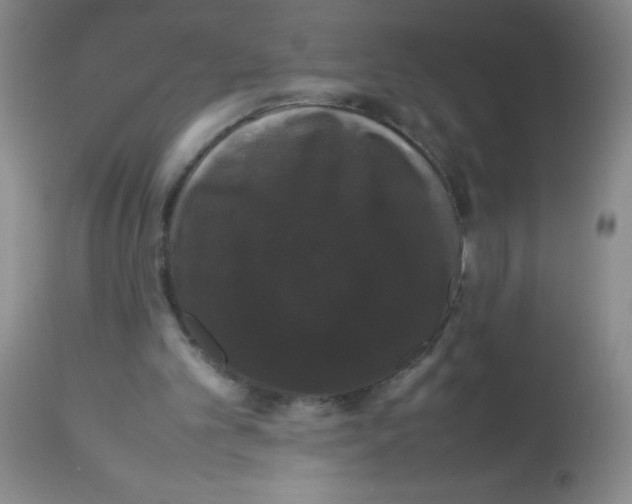 X0000113760101200910211219